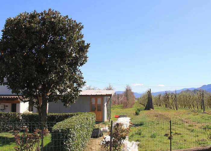 公寓 Casa Dell'amicizia